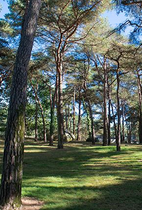 Campingplatz Domaine de la Pinède Bretagne