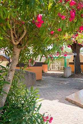 Campingplatz Plage du Midi Portiragnes Méditerranée