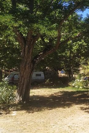 Campingplatz Les Ousinières Le Pradet Var Méditerranée