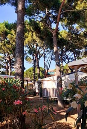 Campingplatz Neptuno Pals Spanien Costa Brava