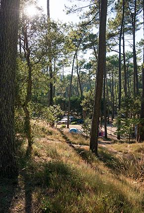 Campingplatz l'Etang Blanc Seignosse Landes