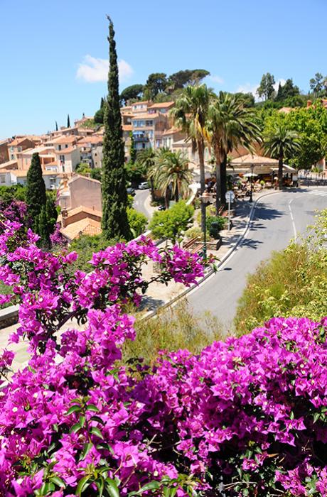 Campingplatz Parc de Bormes Bormes-les-Mimosas Var