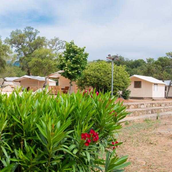 Campingplatz La Pioppa Porto Vecchio Corse du Sud