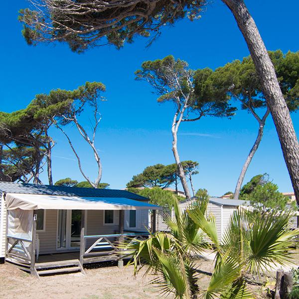 Camping Eurosurf Hyères Var Mittelmeer