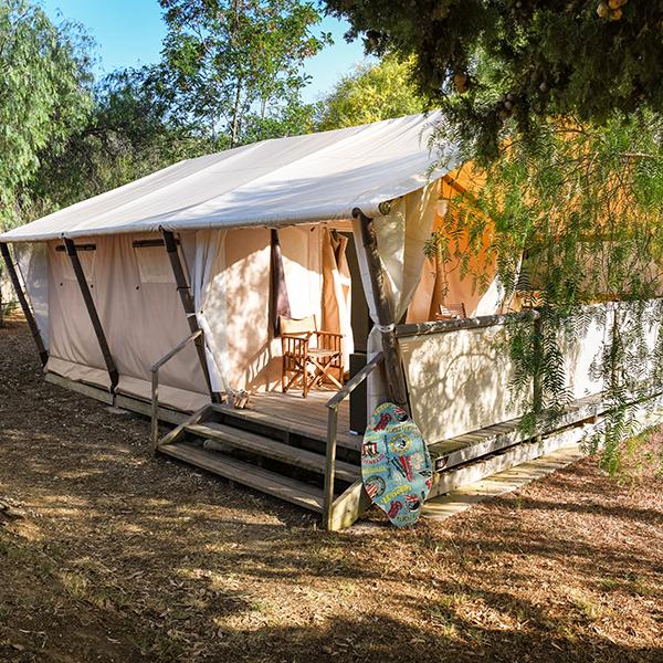 Campingplatz Les Mimosas Le Lavandou Var