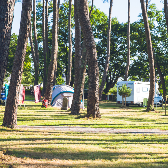 Stellplatz Camper unter Bäumen