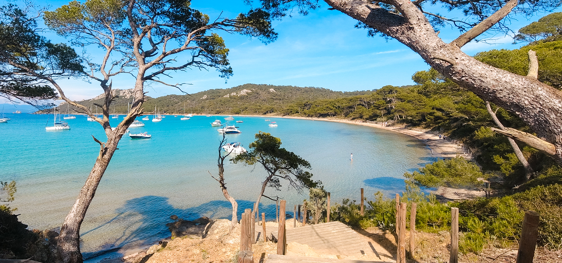 Bucht Insel Porquerolles in Hyères im Departement Var