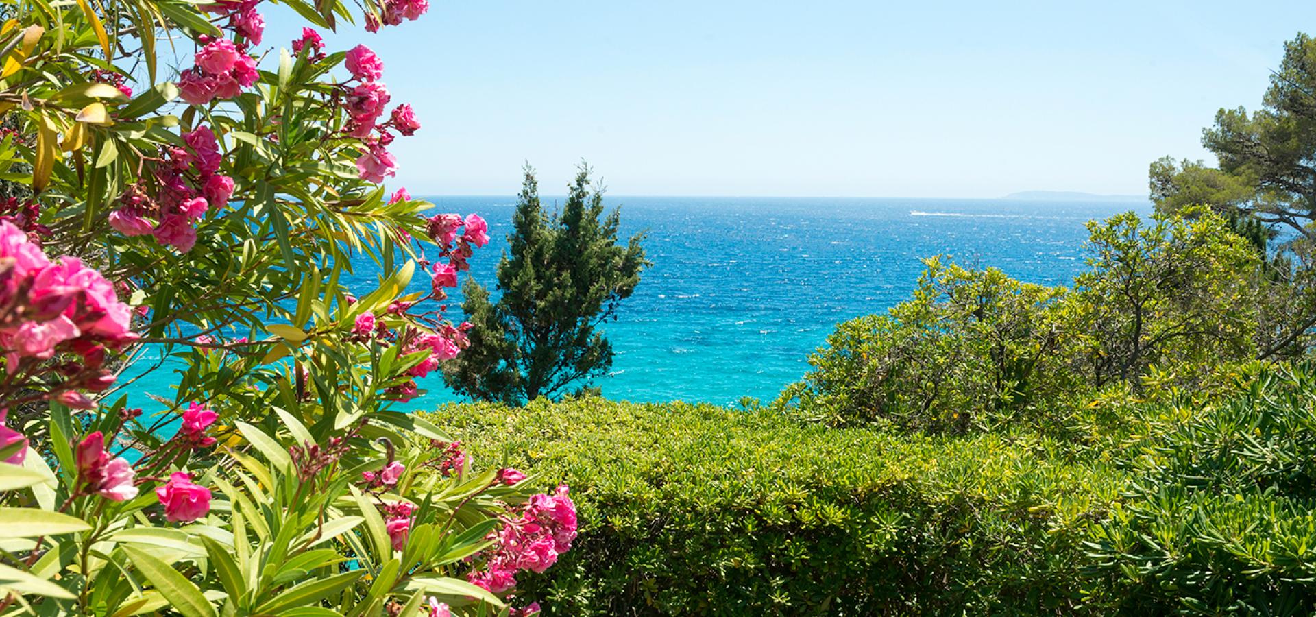 Campingplatz Les Mimosas Le Lavandou Var