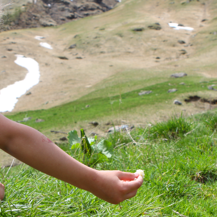 Camping in der Natur