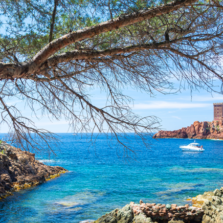 Der Seelöwe vom Esterel aus gesehen 