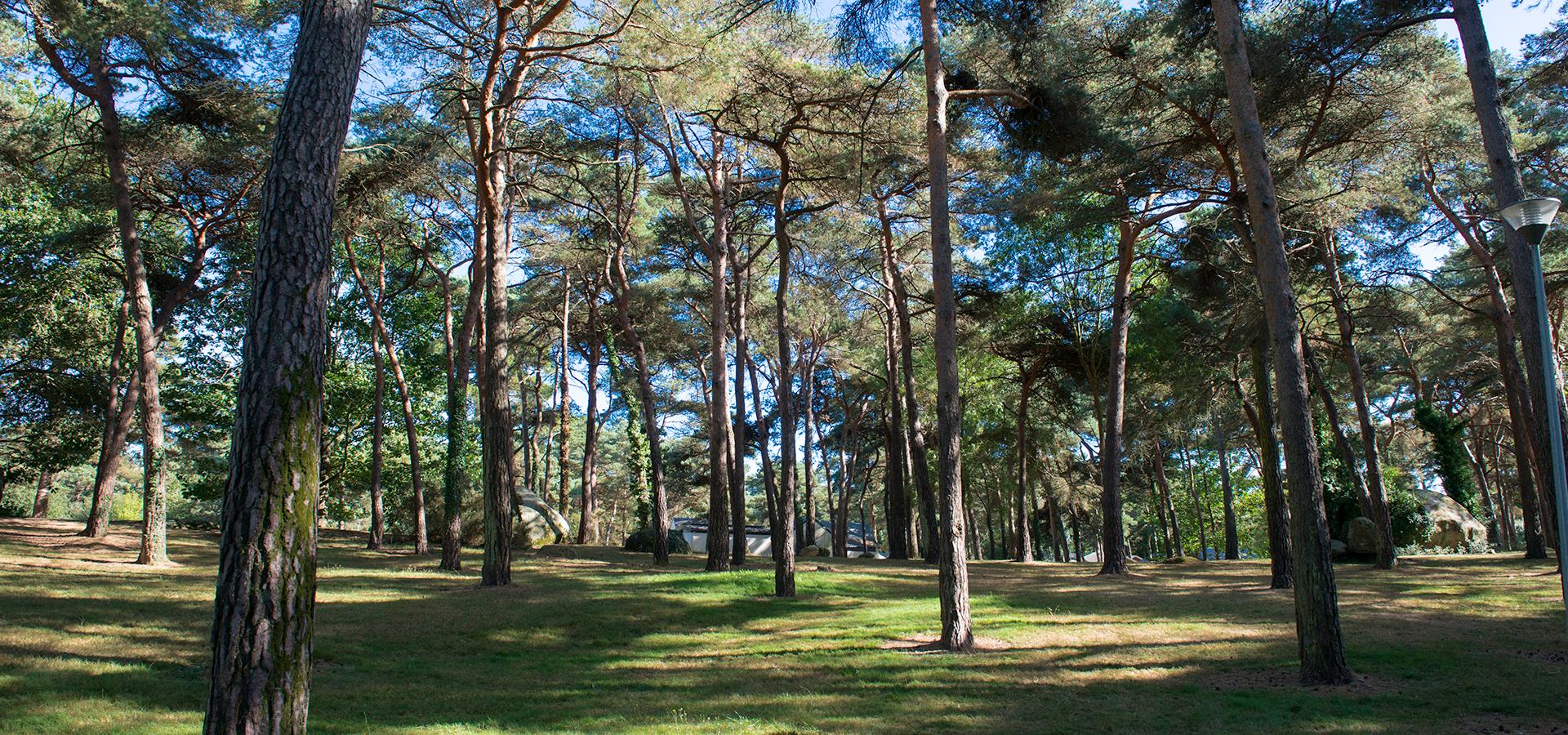 Campingplatz Domaine de la Pinède Bretagne