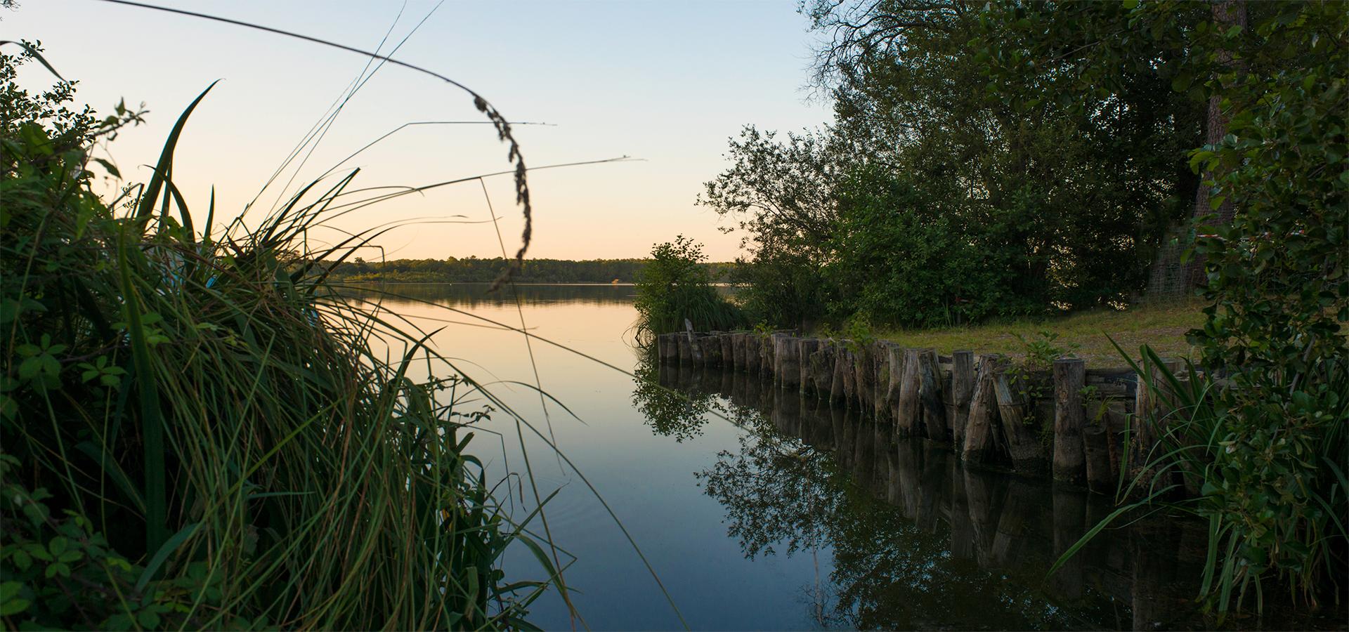 Campingplatz l'Etang Blanc Seignosse Landes