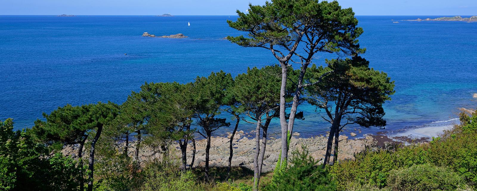 Campingplatz Les Ajoncs d'Or Trégastel Bretagne