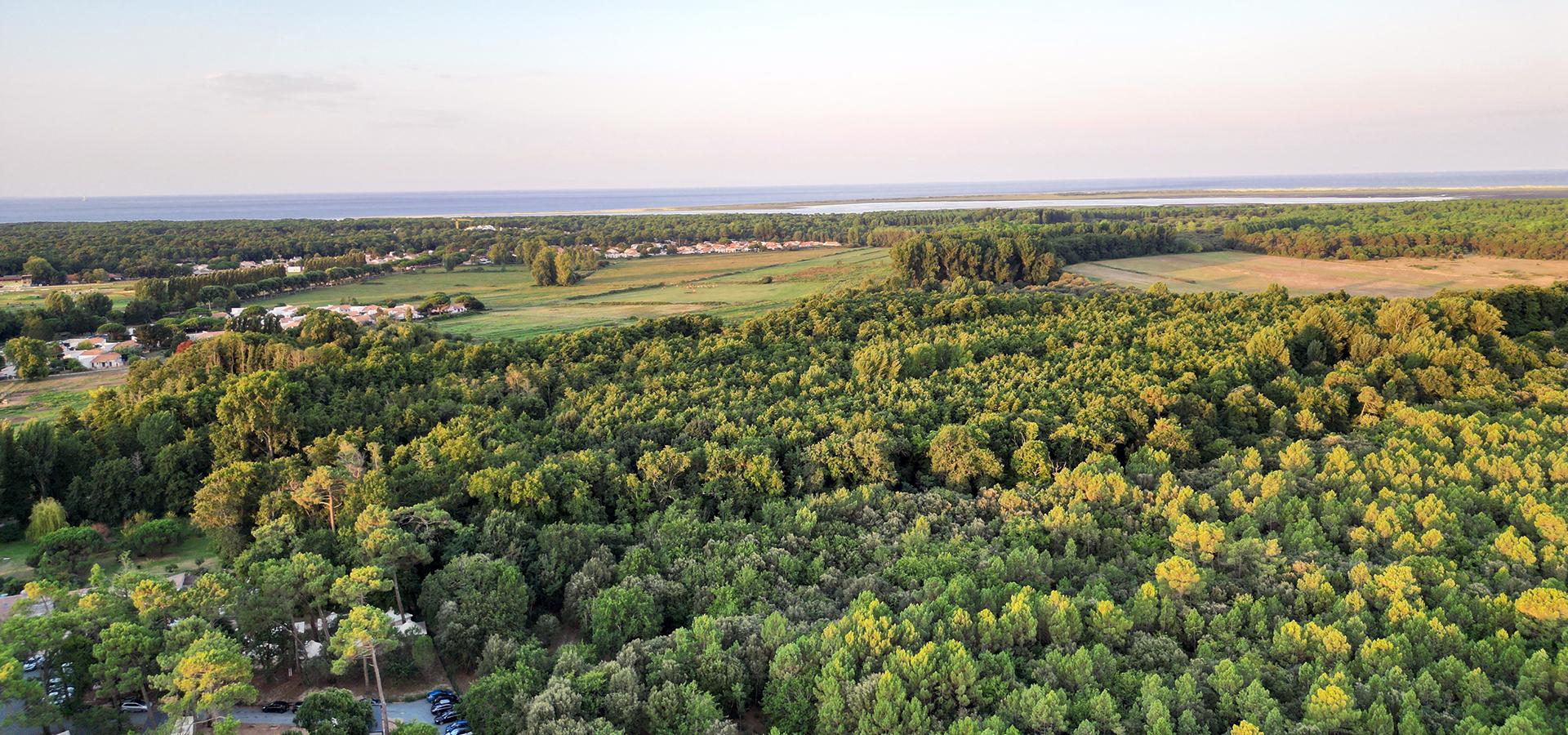 Campingplatz Domaine de Montcalm Les Mathes La Palmyre Charente-Maritime