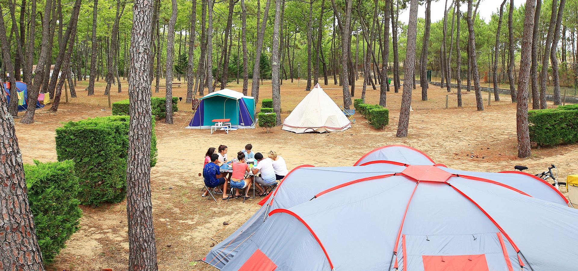 Campingplatz La Grière La Tranche-sur-Mer Vendée