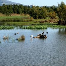 Campingplatz Castell Montgri L'Estartit Spanien Costa Brava