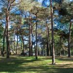 Campingplatz Domaine de la Pinède Bretagne