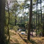 Campingplatz l'Etang Blanc Seignosse Landes