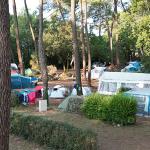 Campingplatz Domaine de Montcalm Les Mathes La Palmyre Charente-Maritime